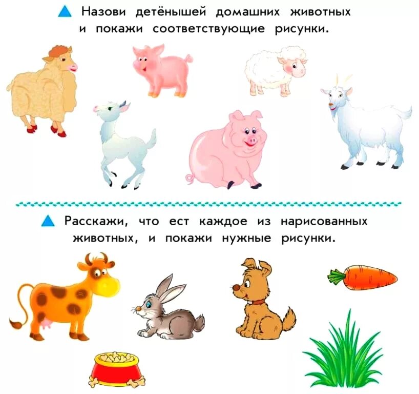 занятие домашние животные. детеныши животных задания для дошкольников. животные задания для детей. домашние животные задания для детей. домашние животные задания для тебей.