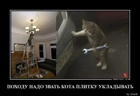 Приходи не надо не зови