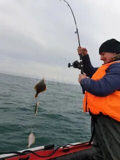 Камбала на что ловить в море