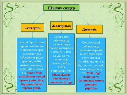 Еркек жыныс мүшесінің ең үлкен басы