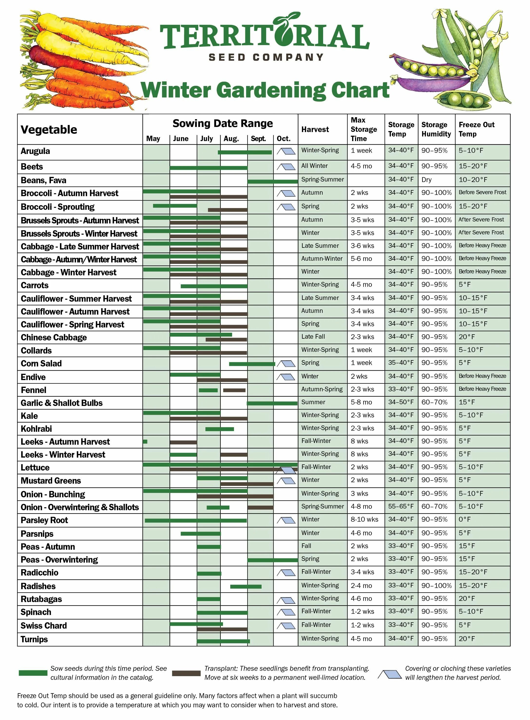 Argeto Vegetable Seeds описание. Seed sowing Dates.