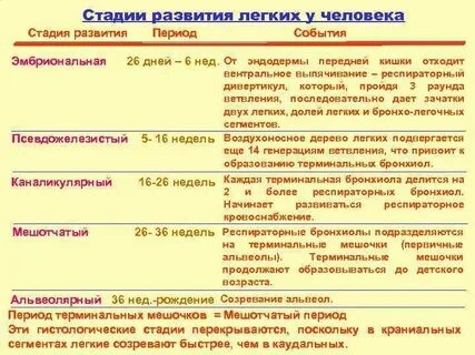 Зрелость легких
