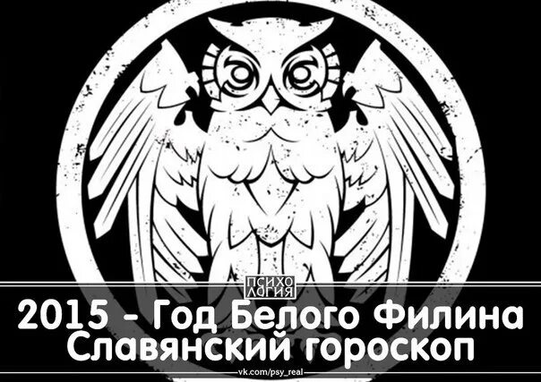 Белый филин тотемное. 2015 по славянскому календарю. Красивая белая сова улыбается. Белый филин славянский гороскоп. Славянский календарь животных.