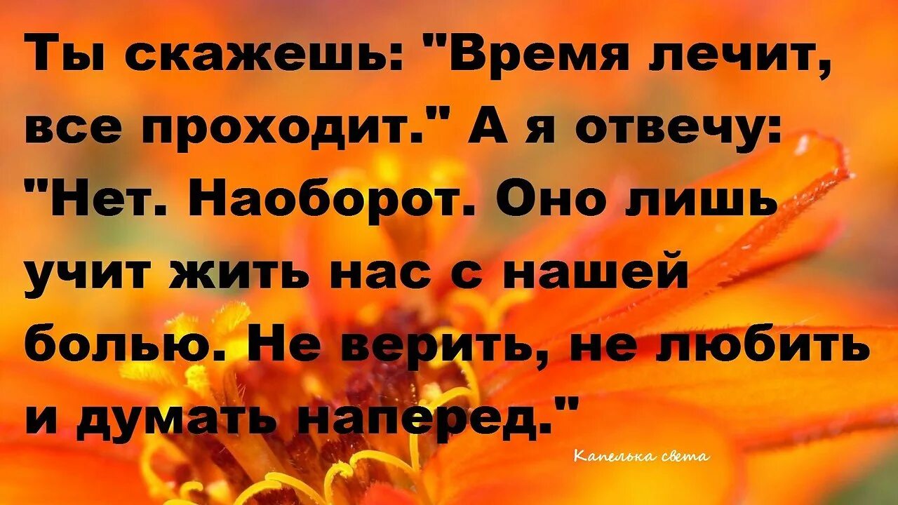 бог нас всех рассудит. гипертония группа препаратов. сколько время лечат. время не лечит оно притупляет боль. типы вирусных гепатитов.
