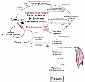 Болезнь биохимия