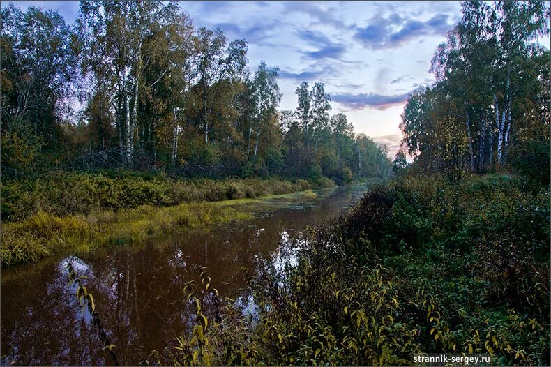 Мещера остаток лесного. Мещера Константина Паустовского. Мещёра Паустовский. Мещерский край Паустовский. Паустовский Лесные озера.