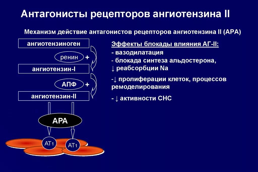 Антагонисты ангиотензина 2 механизм действия. Блокаторы рецепторов ангиотензина 2 механизм действия. Ангиотензин 2 механизм действия. Блокаторы ангиотензиновых рецепторов механизм действия. Сартаны ингибиторы