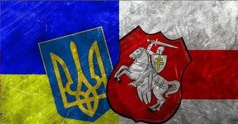 Живе