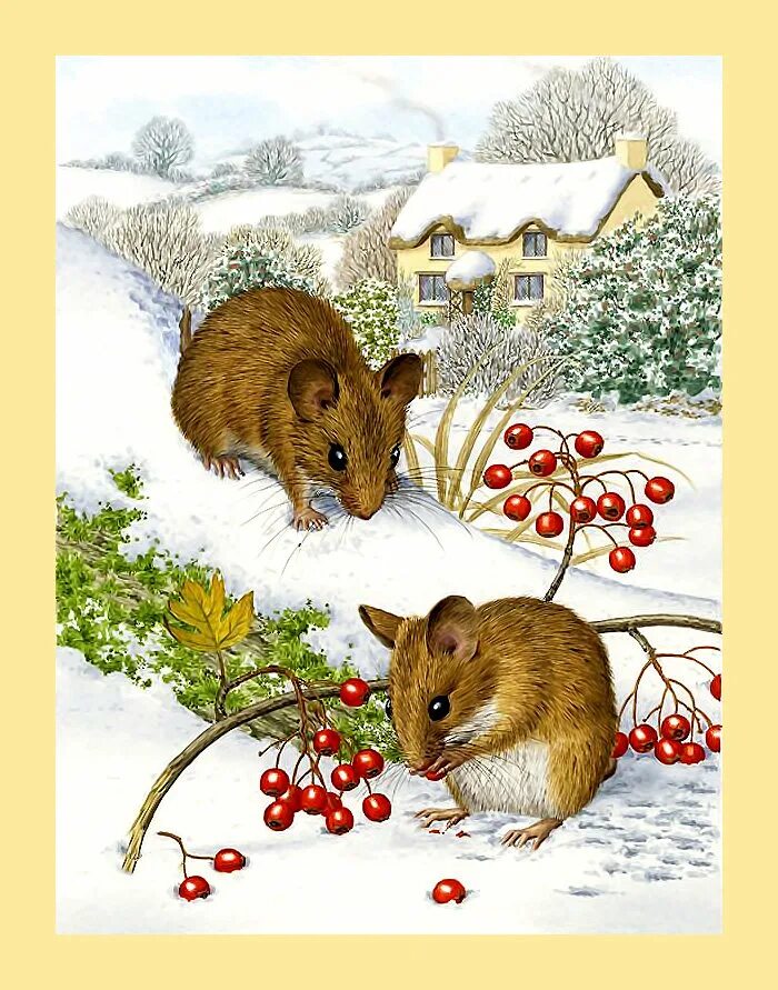 Сад мыши. Мышка зимой в лесу. Мышь зимой. Мышка Лесная зимой. Мышка зимой для детей.