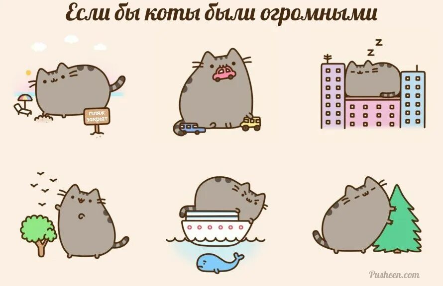 6 причин быть котом. причины быть котом. 6 причин быть котом. шесть причин быть котом. шесть причин быть котом.