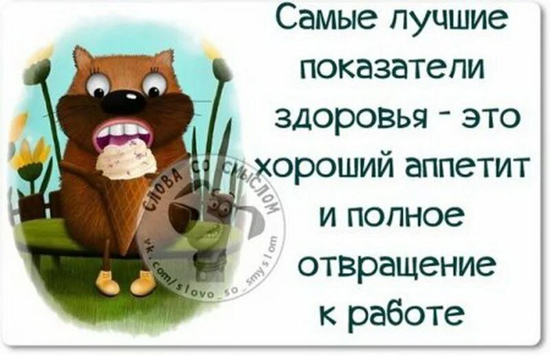 Вопросы на тему здоровье. Что ответить на будь здоров. Позитивный образ жизни. Правила здорового питания. Викторина по здоровому образу жизни.
