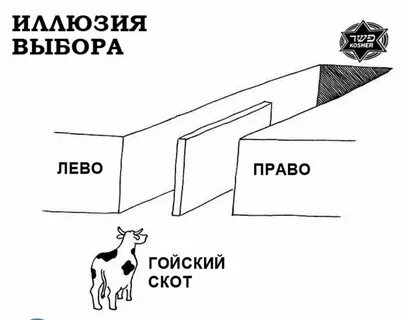 Иллюзия бесконечного выбора