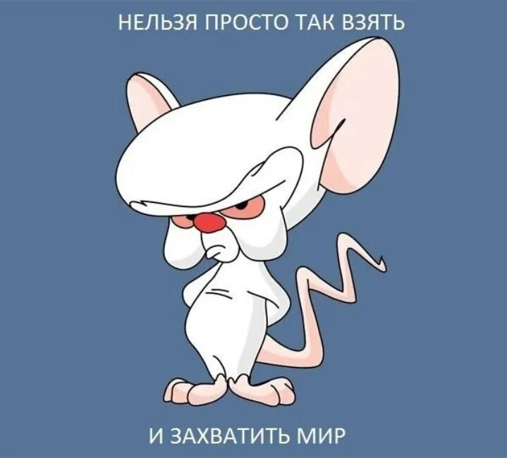 Какие захватить мир. Мышонок который хотел захватить мир. пинки и брейн захватить мир. мыши захватить мир. завоевать мир.