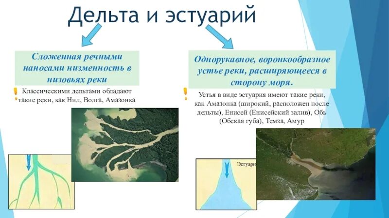 Устье и дельта. Устье Дельта и эстуарий. Дельта реки и Устье реки. Дельта и эстуарий реки. Устья, дельты эстуарии рек.