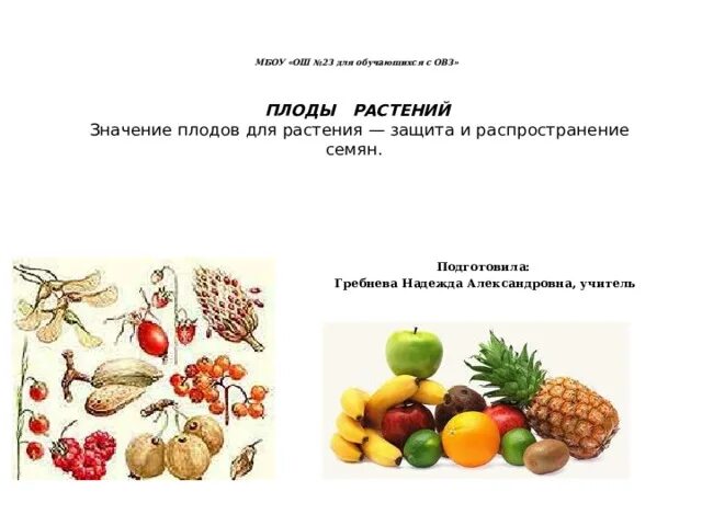 Значение плодовых. Значение плодов для растений. Значение плода для растения. Значение плодов и семян. Значение плодовых растений.