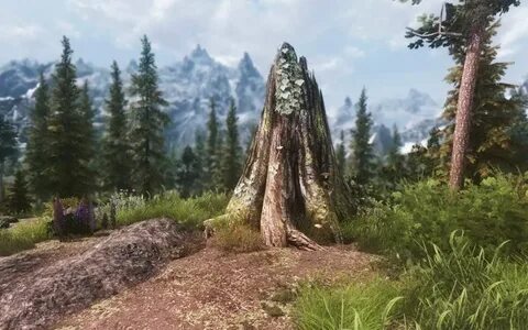 Skyrim enb