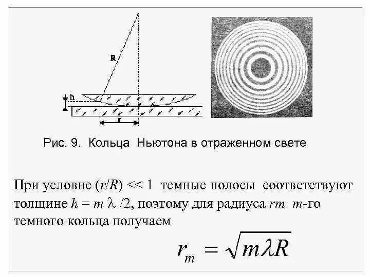 Кольца Ньютона радиус светлого кольца. Радиус темного кольца Ньютона в отраженном свете. Радиус темных колец Ньютона для отраженного света. Радиус RM темного кольца кольца Ньютона. Пятно ньютона