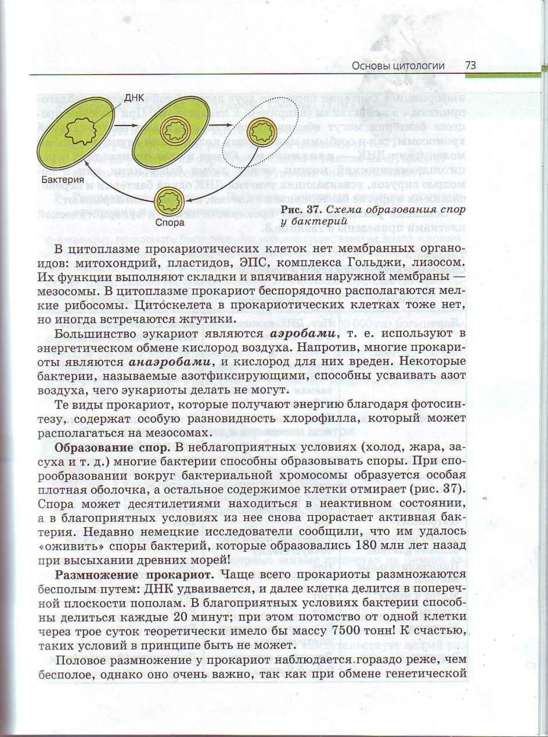 Биология пасечник 10 класс учебник углубленный уровень. Каменский Криксунов биология 10-11 класс. Каменский Криксунов Пасечник биология 10 11 класс. Учебник биологии 10-11 Пасечник, Каменский, Криксунов. 10-11 Класс общая биология Каменский Криксунов.