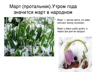 Приметы весны для 2 класса окружающий. Приметы весны для 2 класса окружающий