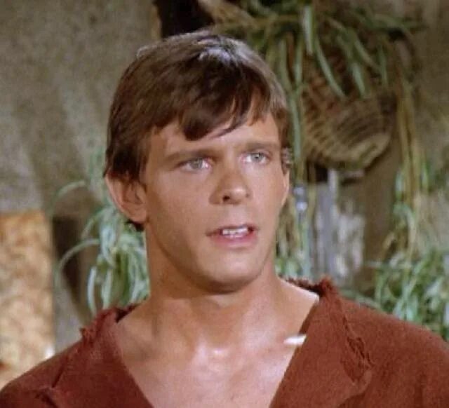 Marc Singer. Mark singer