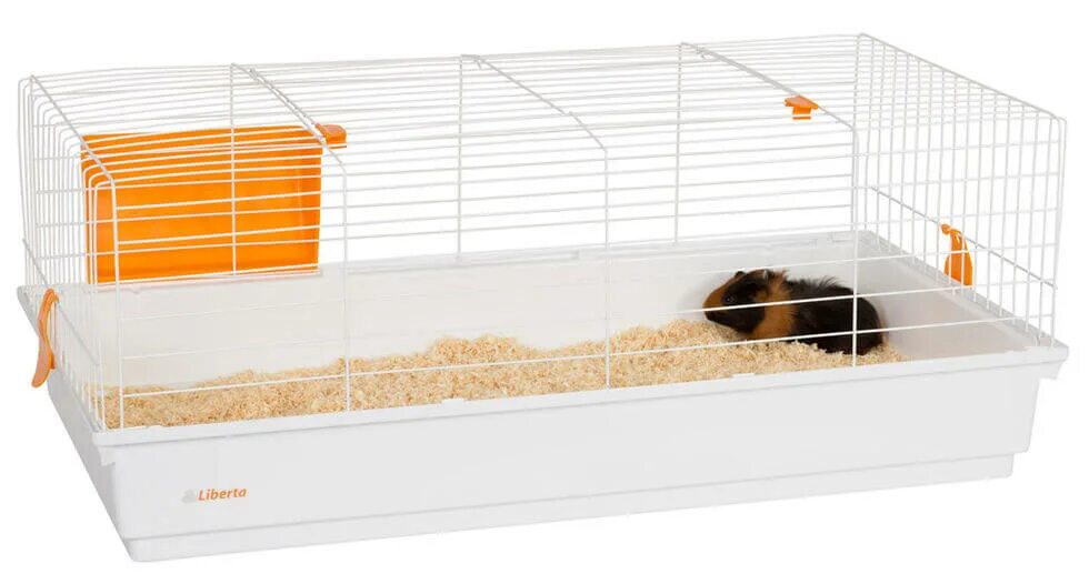 Savic клетка для грызунов ambiente 80, 80х50х43 см. какого размера клетка для морской свинки. клетка midwest guinea habitat plus для кролика. клетка ферпласт касита 80. клетка для морской свинки.