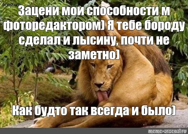Лев лижет яйца мем. Сам себе поставил лайк. Самолайк залог успеха. Самолайк залог успеха мем. Самолайк залог.
