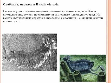 Исчезнувший класс