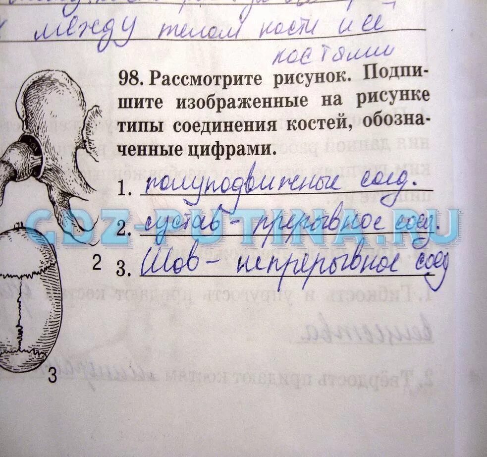 Глава 11 биология 8 класс. Биология 8 класс рабочая тетрадь. Тетрадь по биологии 8 класс Сонина.