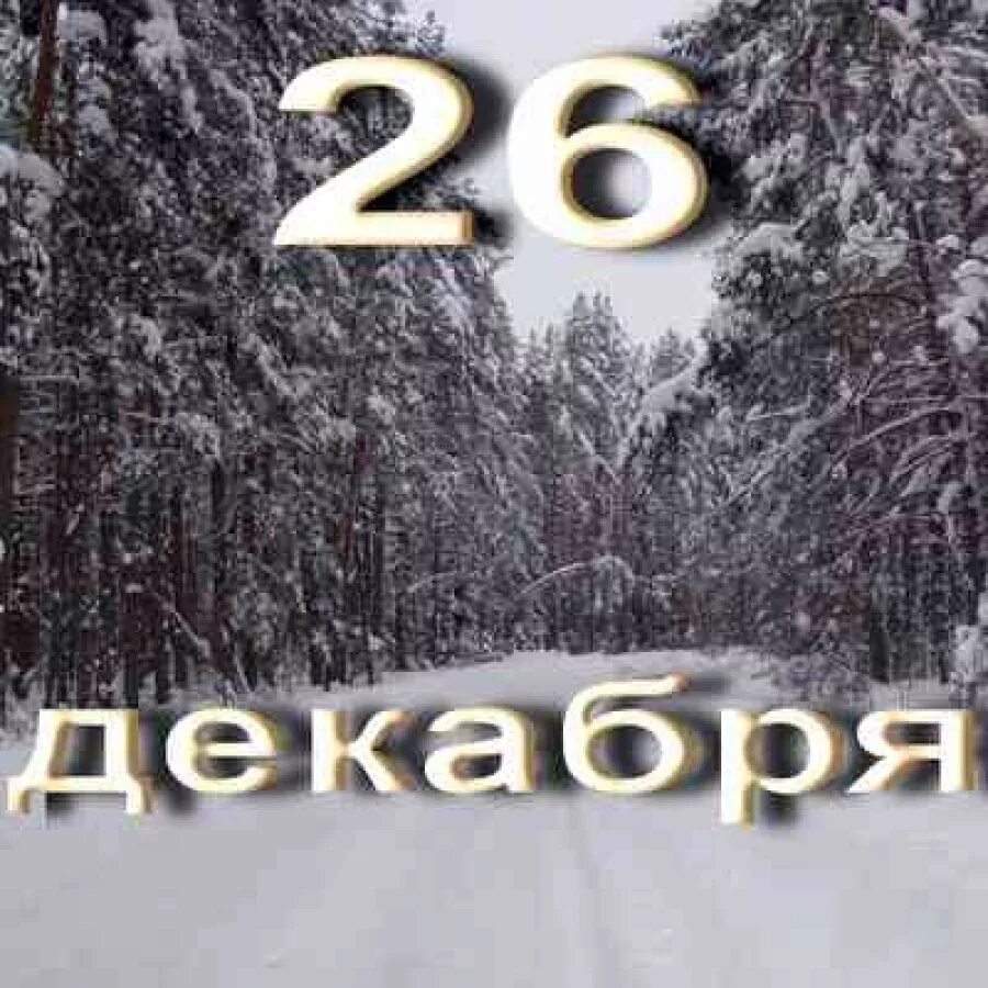 Декабря 2017 года. 26 Декабря. 26 Декабря календарь. 26 Декабря надпись. 26 Декабря народный календарь.