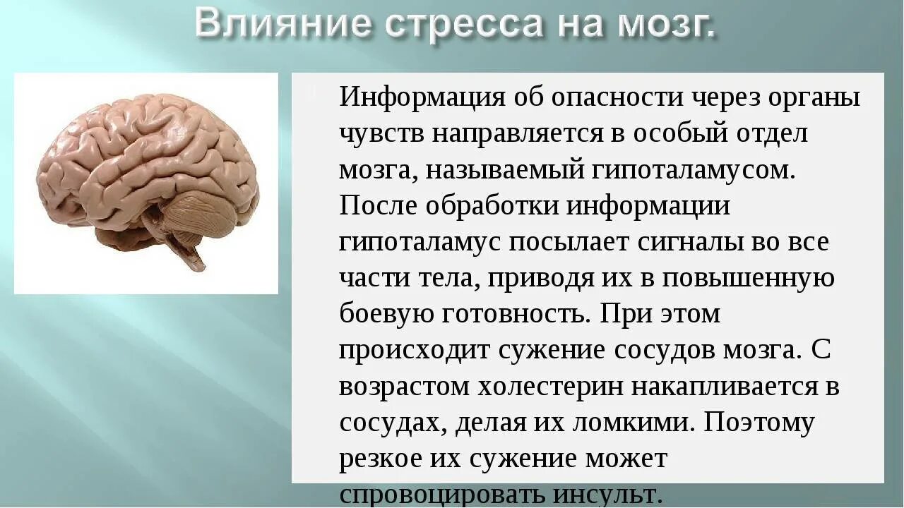 Факторы влияющие на мозг. Влияние стресса на мозг. Стресс и мозг человека. Как стресс влияет на мозг. Влияние стресса на головной мозг.