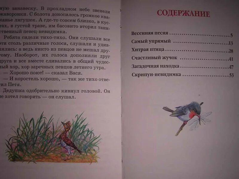 Скребицкий весенняя песня читательский дневник