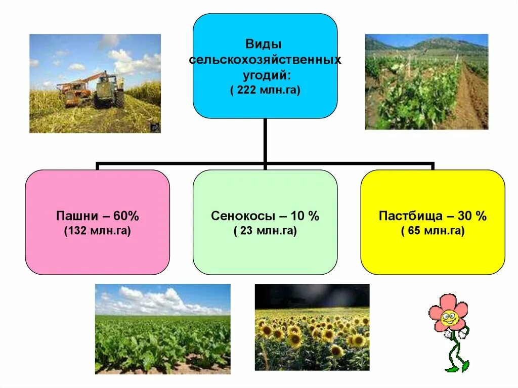 Угодья примеры. Понятие и структура сельхозугодий. Сельскохозяйственные угодья примеры. Угодья примеры. Угодья примеры.