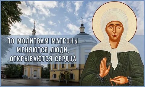 Видео матроны