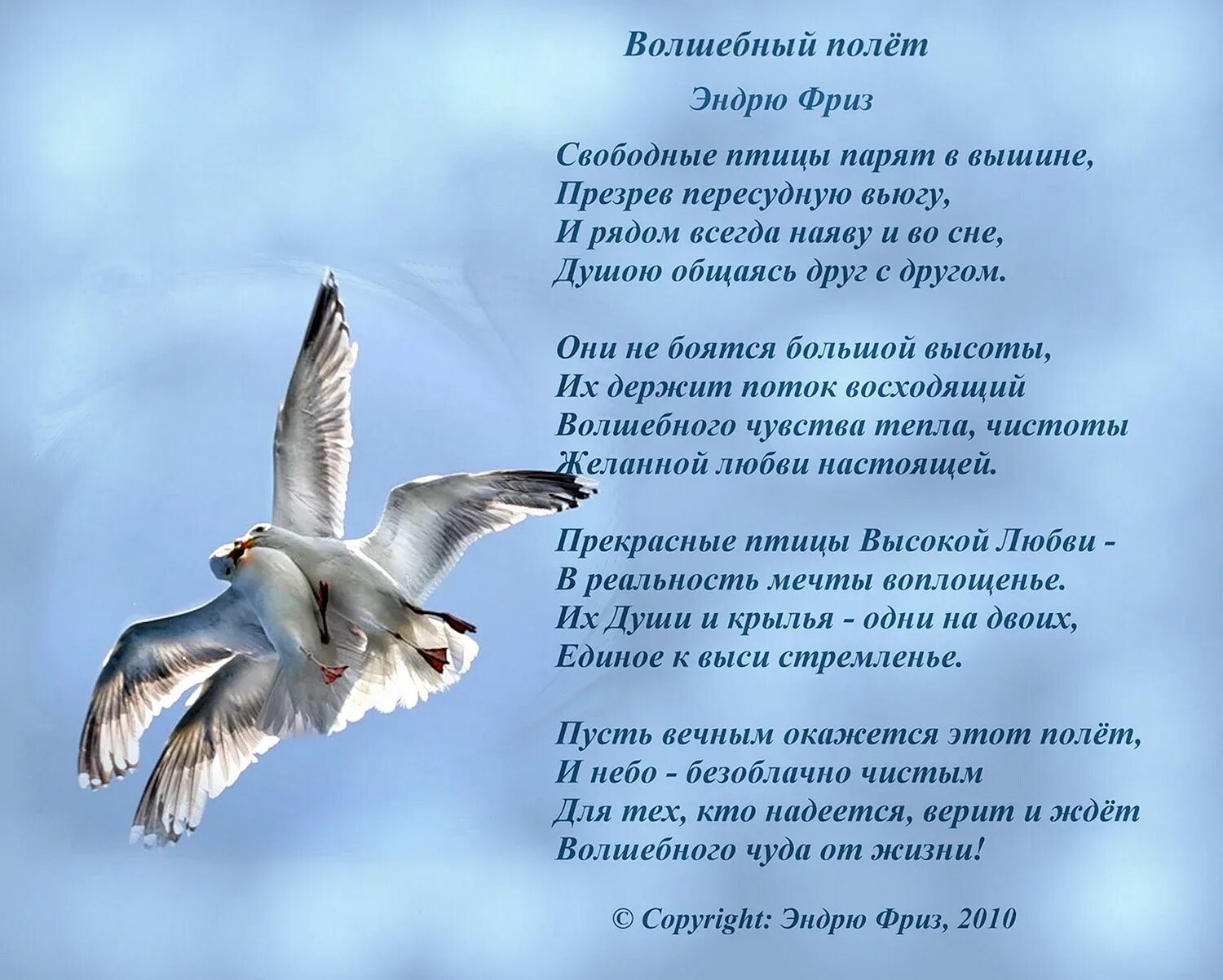 Стихотворение постой. Стихи. Стихи про полёт. Стихи о полете души. Стихи о полете и птицах.