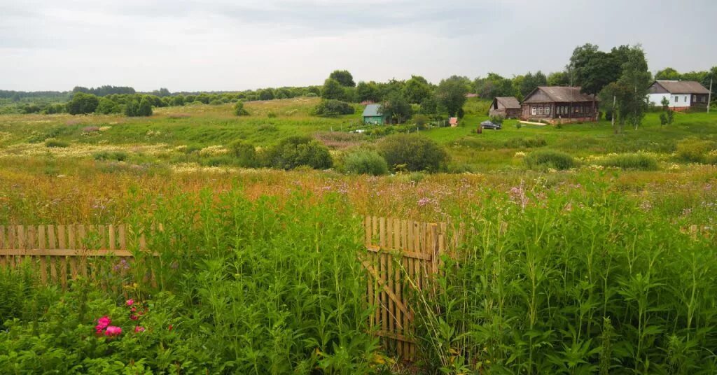 Деревня пушкино воскресенский район. Деревня красная горка ленинградская область. Деревня пушкино,13 воскресенский район. Деревня поповка московская область дмитровский район село пруд. Деревня старо рузский район.