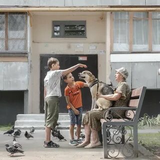 Жизнь без прикрас