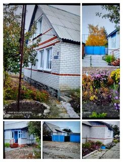 Погода волгоградская камышинский щербатовка