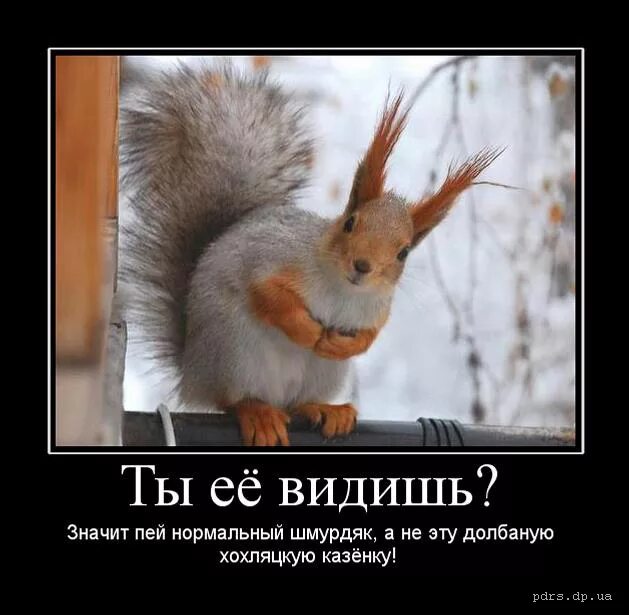 Что значит я вижу