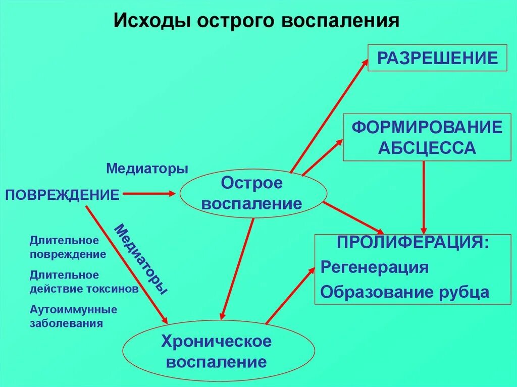 Виды воспаления исходы воспаления. Исходы острого воспаления. Исходы хронического воспаления. Схода острого воспаления. Исходы воспаления разрешение.