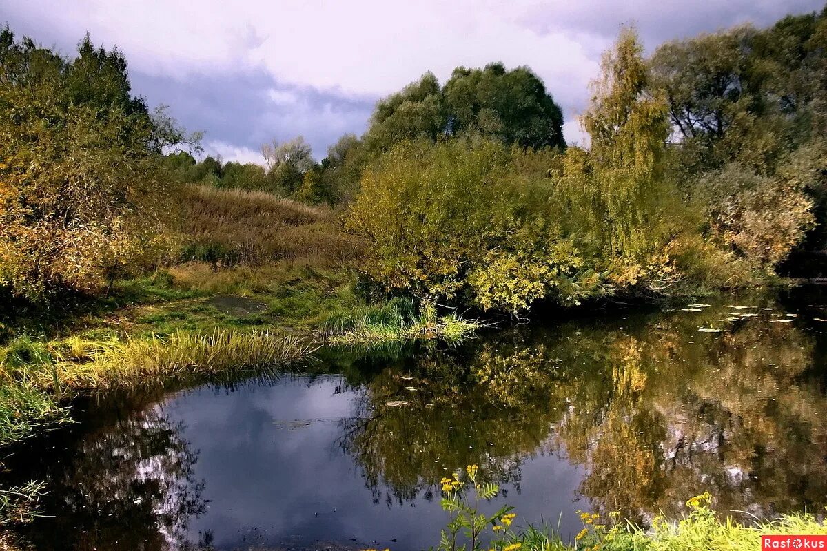 Бухтик из тихой заводи. Пудова в тихой заводи. Пудова в тихой заводи. Есенин лебедь белая. Бухтик из тихой заводи фото.