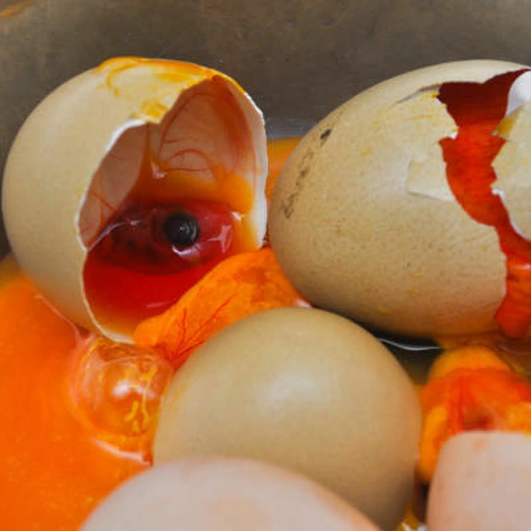 Запах тухлых яиц. Тухлые яйца в магазине. Свежие куриные яйца. Какой запах имеет тухлое яйцо. Гнилые яйца.