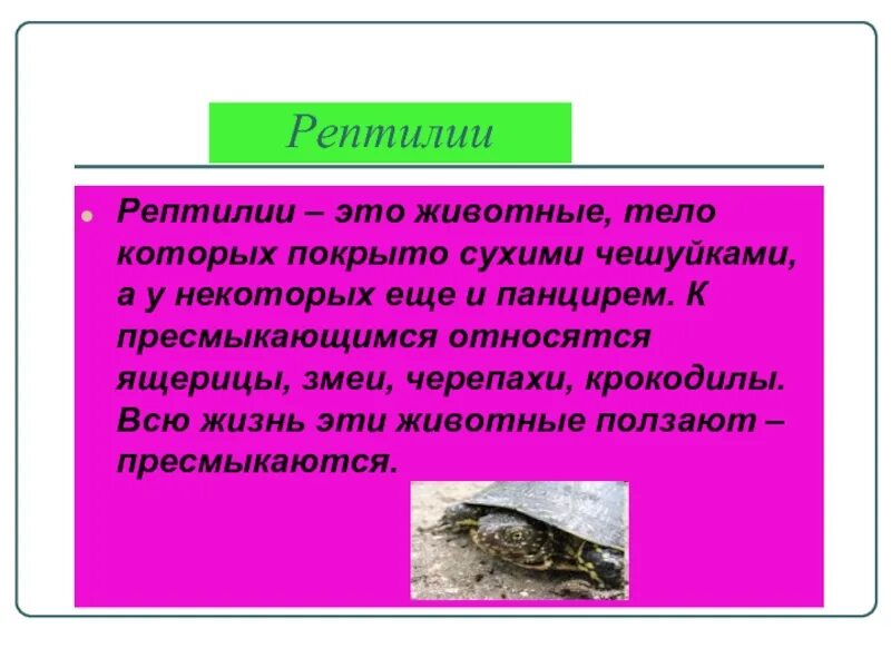 Сообщение о пресмыкающихся. Рептилии презентация 3 класс. Презентация про пресмыкающихся. Пресмыкающееся сообщение.