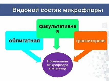 Факультативная микрофлора это