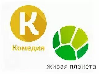 Звериный репортер живая планета. Парк бабочек зеленопарк. Парк живая планета. Парк живая планета. Парк зелёная планета в сочи.
