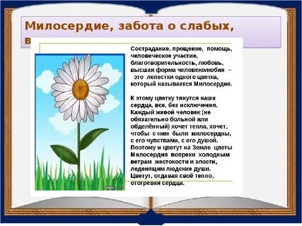 Сочинение почему важно сочетать милосердие с рассудительностью