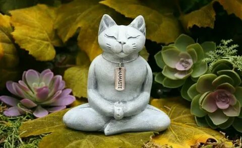 Коте сборник дзен