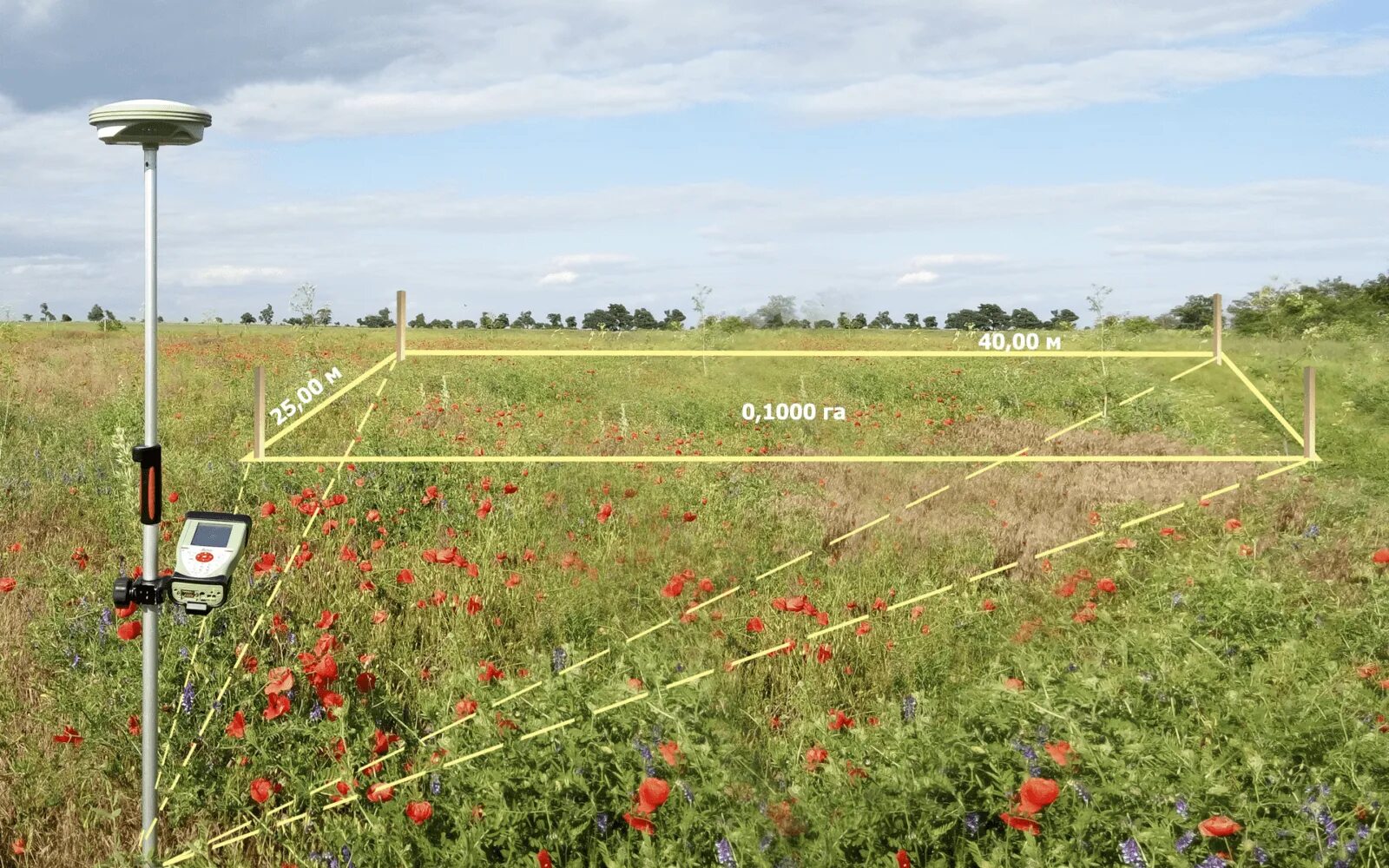 Земельный кадастр. Установление на местности границ объекта землеустройства. Границы земельного участка. Установление на местности границ объекта землеустройства. Границы объектов землеустройства.