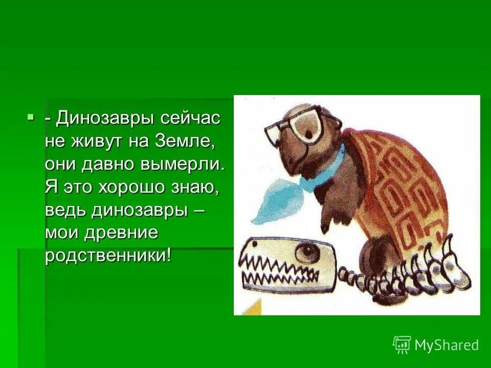 Мудрая черепаха хочет знать. Муравей вопросик и мудрая черепаха. Муравьишка вопросик и мудрая черепаха. Мудрая черепаха. Окружающий мир муравьишка и мудрая черепаха.