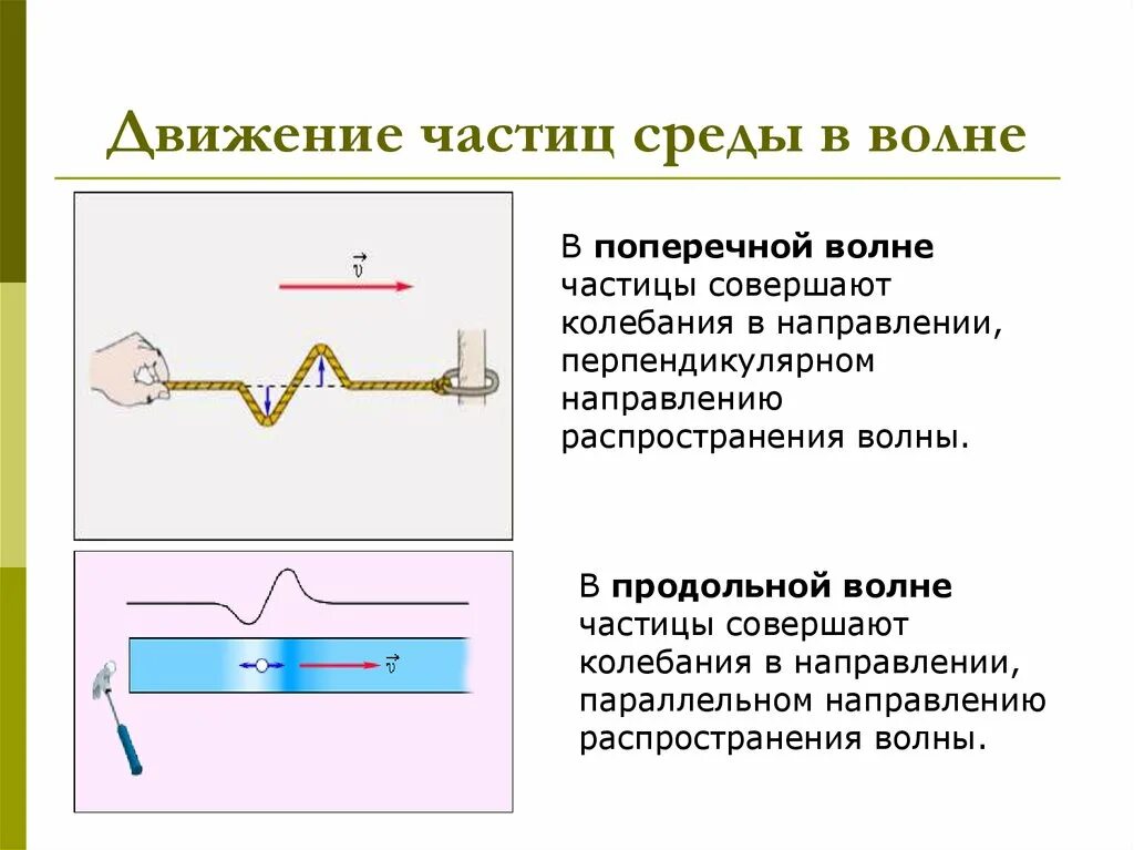 Движение среды. Движение частиц в волне. Направление колебаний частиц среды поперечной волны. Волновое движение среды. Движение частиц в поперечной волне.