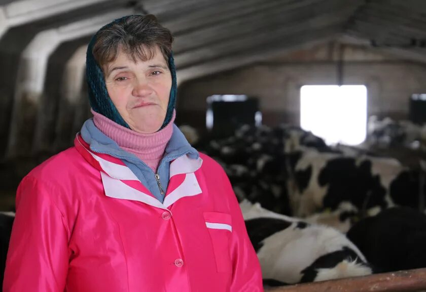 животновод с предоставлением жилья. семежево копыльский район. животновод. животновод с предоставлением жилья. пик-лесное копыльский район день животновода 2022 год.